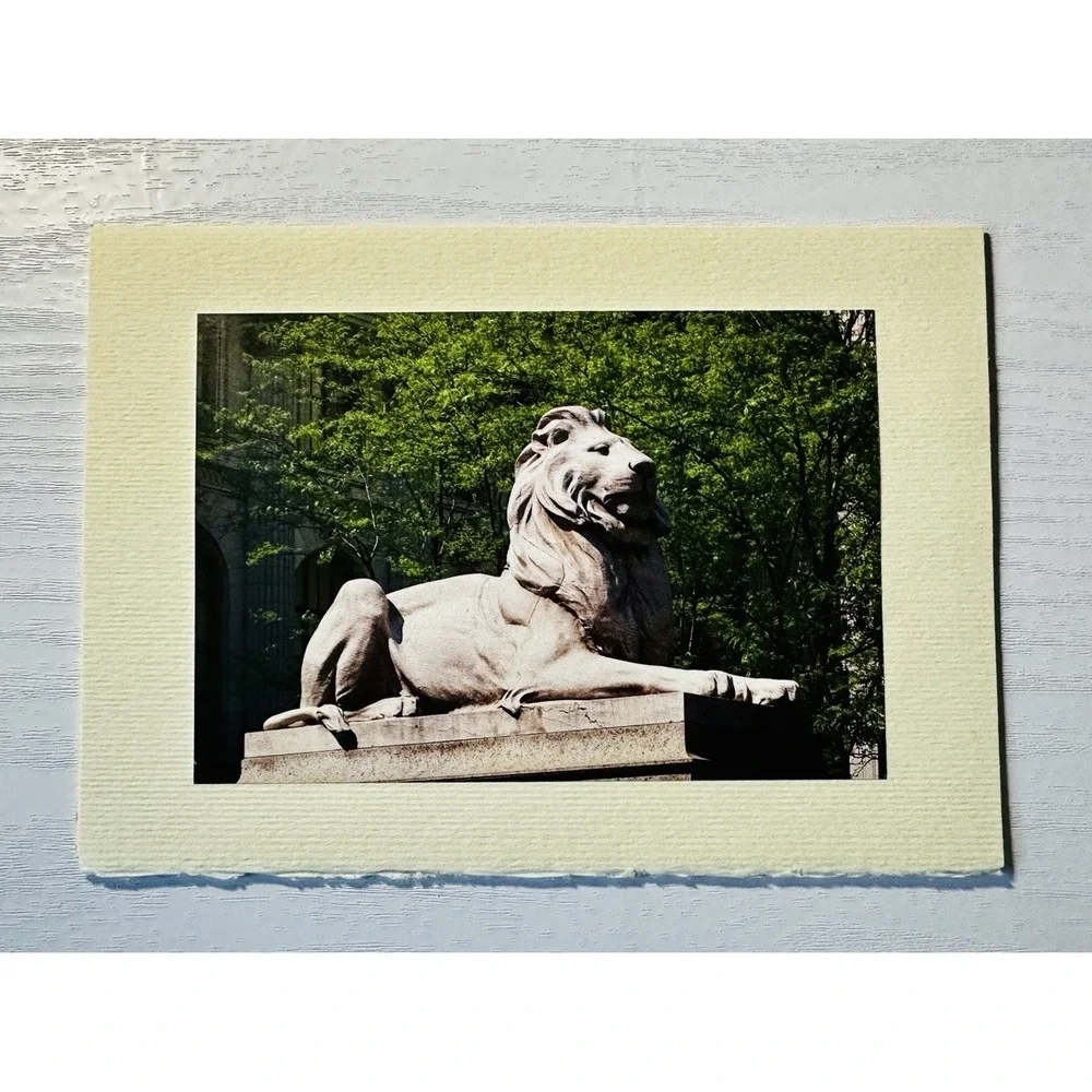 New York Public Library Lion 